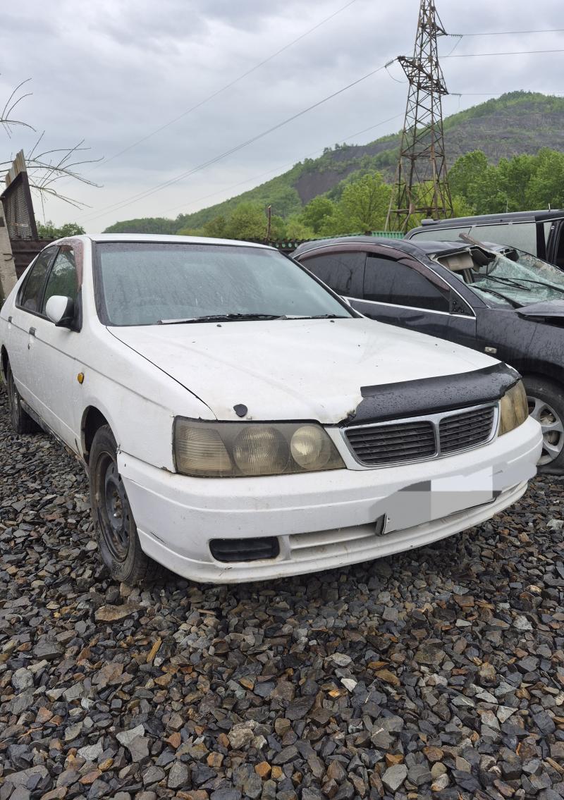 Nissan Bluebird