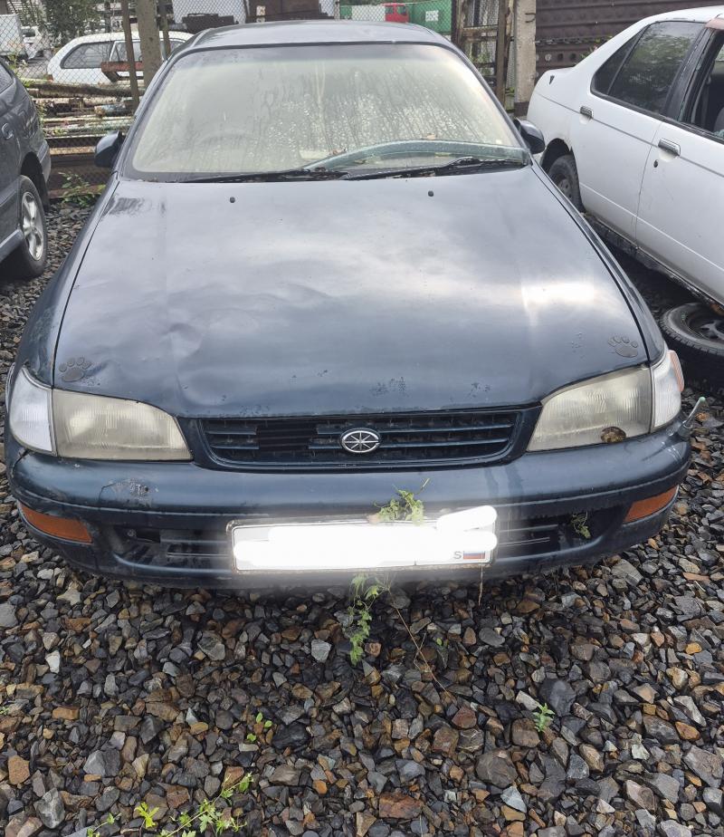 Toyota Corona